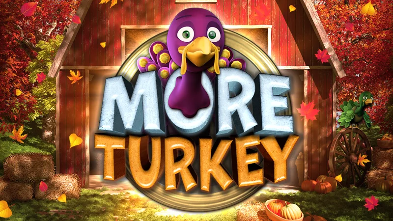 More Turkey poster image