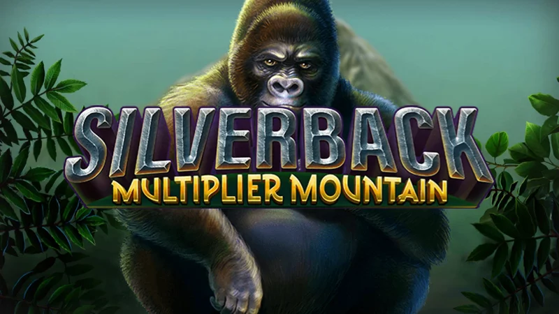 Silverback: Multiplier Mountain poster image