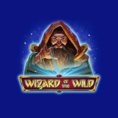 Wizard Of The Wild icon