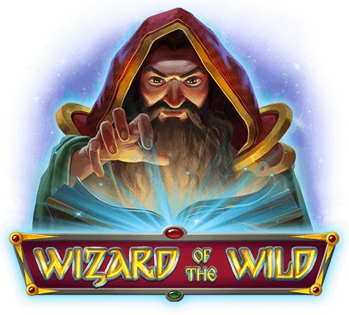 Wizard Of The Wild feature image